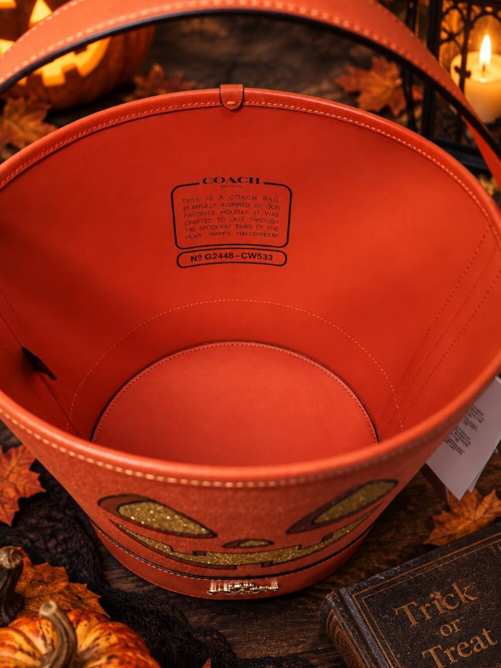 Coach Halloween Trick Or Treat Bucket Bag Pumpkin Face - Picture 4 of 4